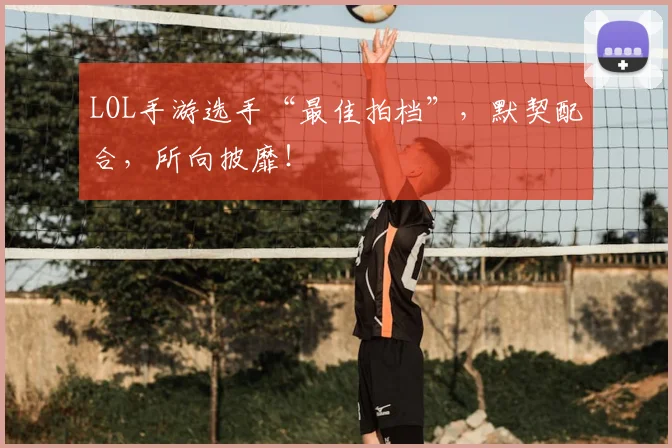 LOL手游选手“最佳拍档”，默契配合，所向披靡！