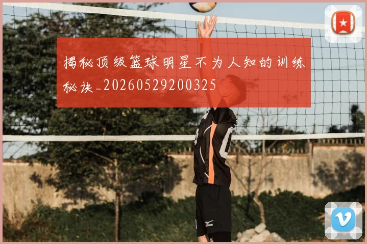 揭秘顶级篮球明星不为人知的训练秘诀_20260529200325