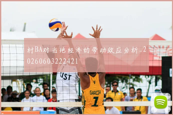 村BA对当地经济的带动效应分析_20260603222421