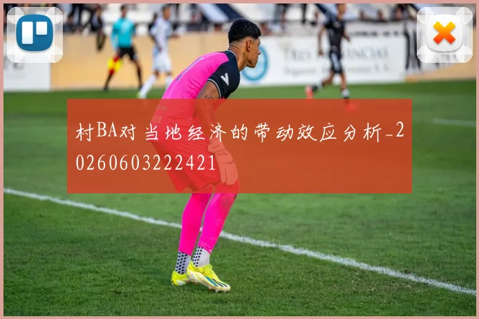 村BA对当地经济的带动效应分析_20260603222421