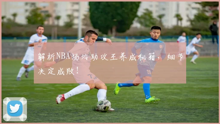 解析NBA场均助攻王养成秘籍，细节决定成败！