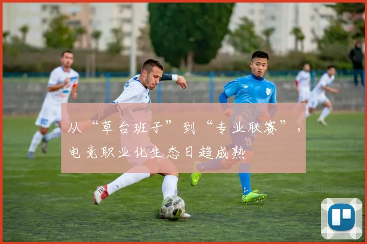 从“草台班子”到“专业联赛”，电竞职业化生态日趋成熟