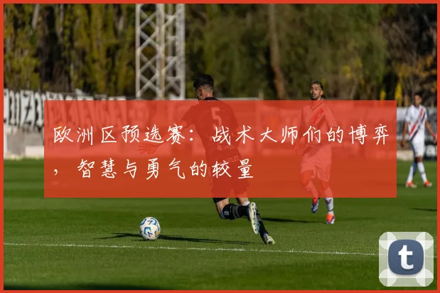 欧洲区预选赛：战术大师们的博弈，智慧与勇气的较量