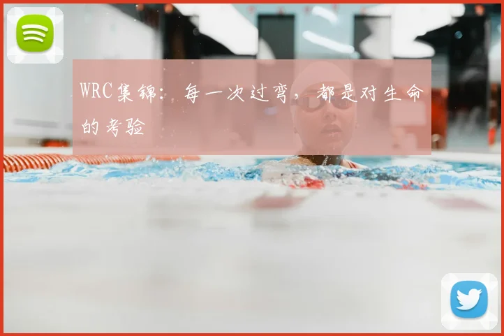 WRC集锦：每一次过弯，都是对生命的考验